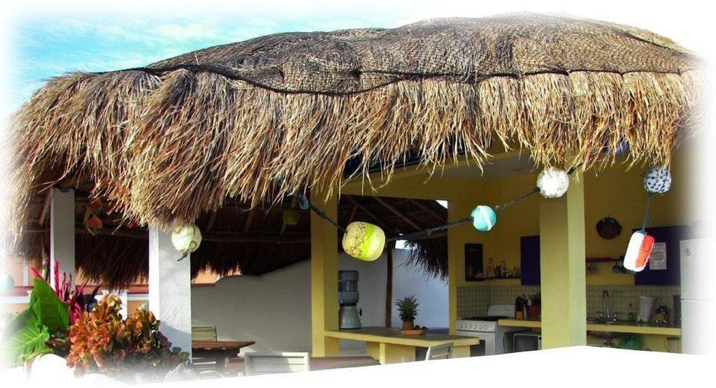 Coral Reef Guest house *