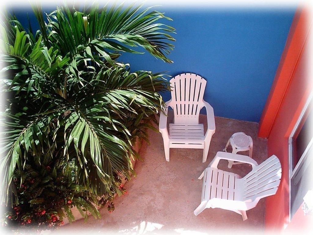 Coral Reef Guest house *